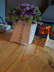 The-Small-Holding_Cranbrook-Kent_20191026_20120229